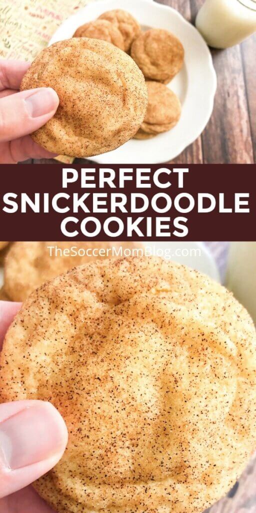 So much more than just a sugar cookie! These Snickerdoodle Cookies are soft and chewy on the inside and coated in cinnamon sugar goodness -- simply perfect!