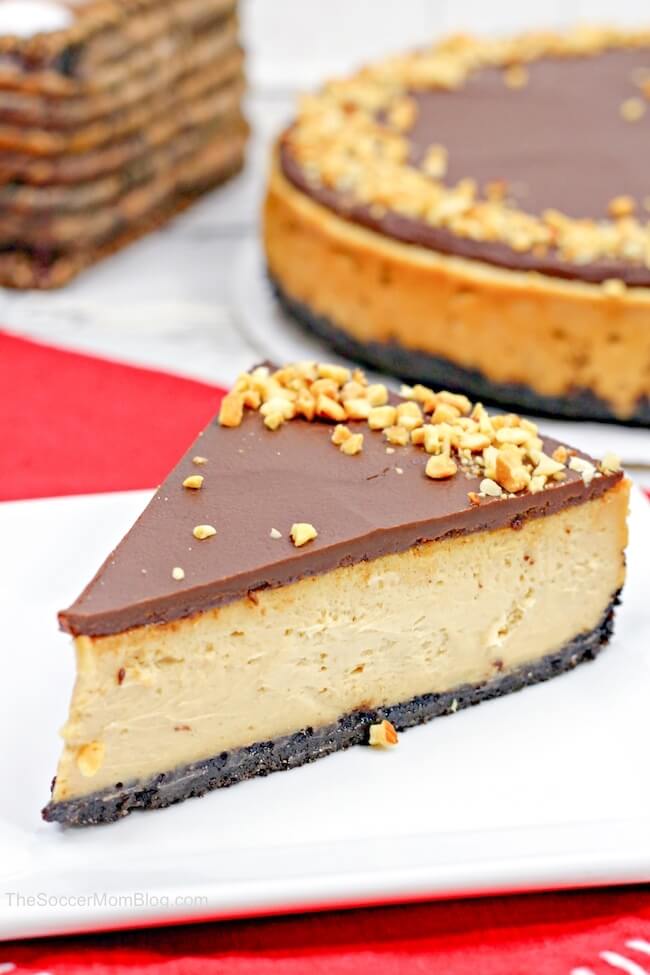 peanut butter cheesecake with chocolate icing