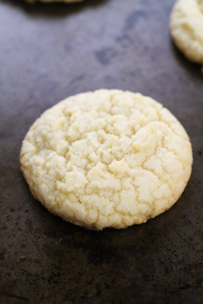 fluffy sugar cookie up close