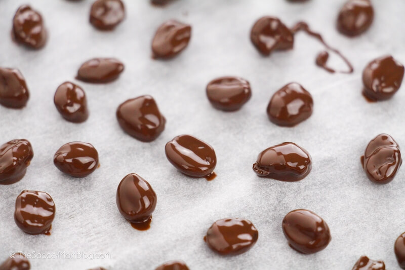 Chocolate Covered Espresso Beans drying on parchment paper