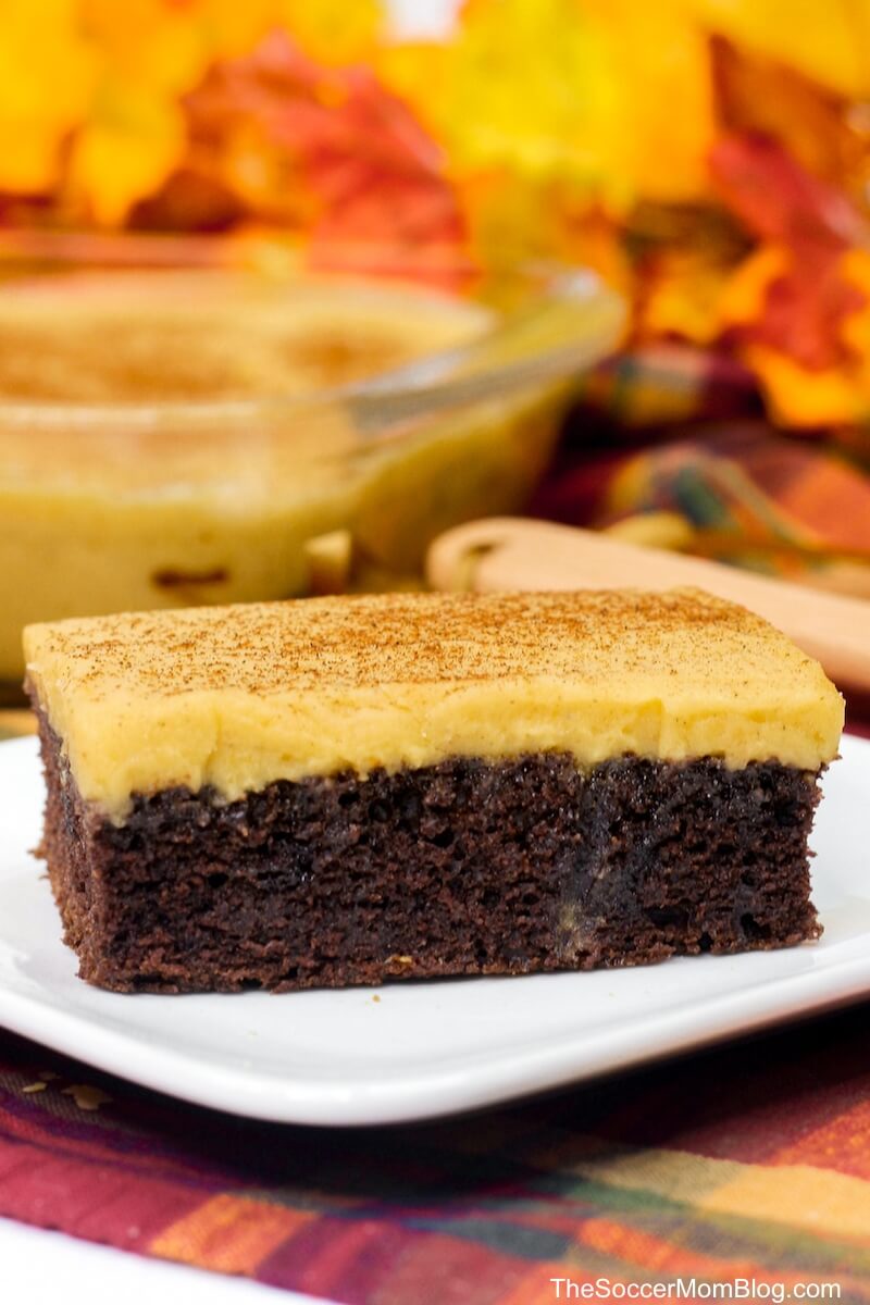 chocolate sheet cake with pumpkin frosting
