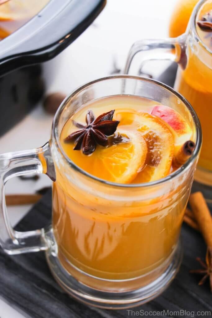 mug of mulled apple cider with fruit and spices