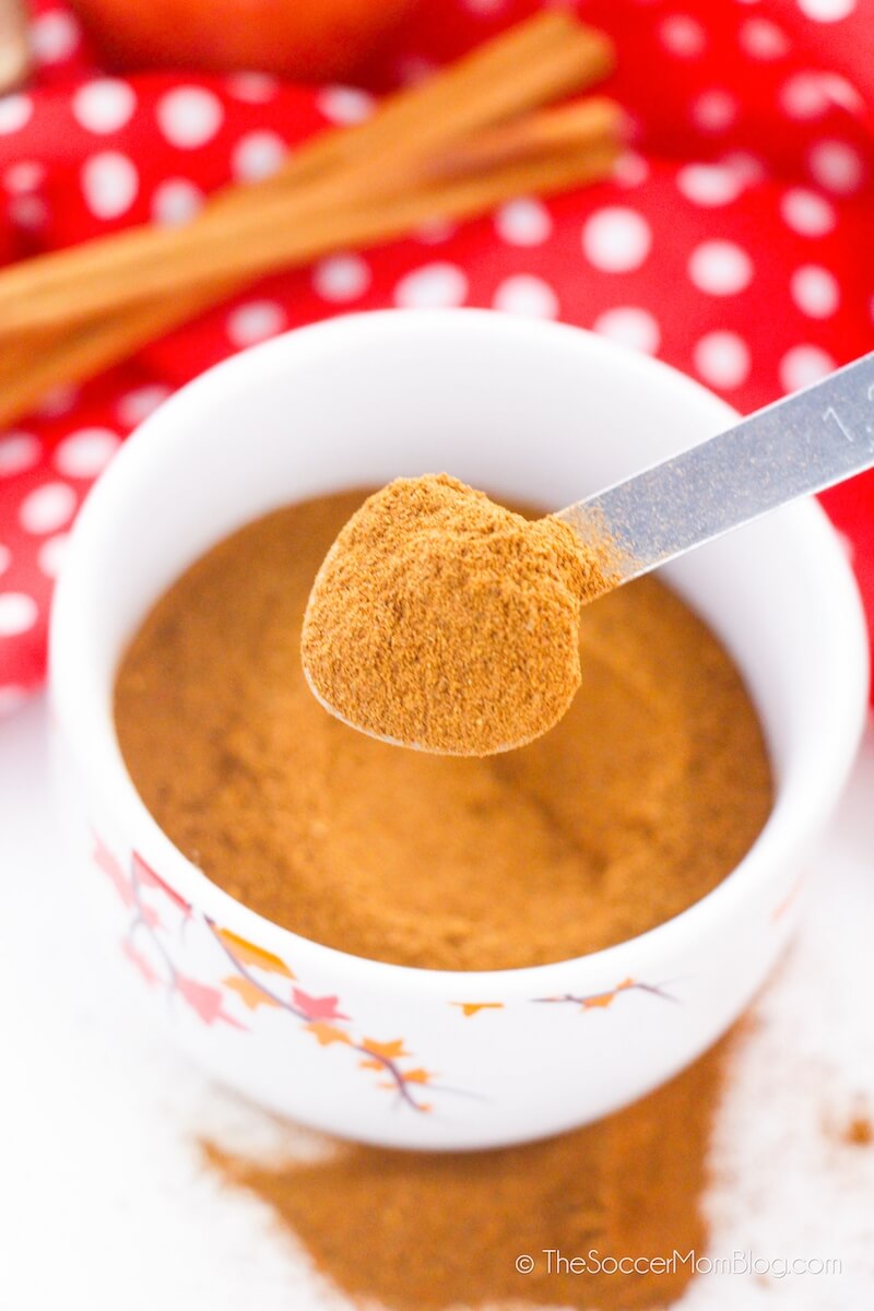A spoonful of Homemade Apple Pie Spice Mix
