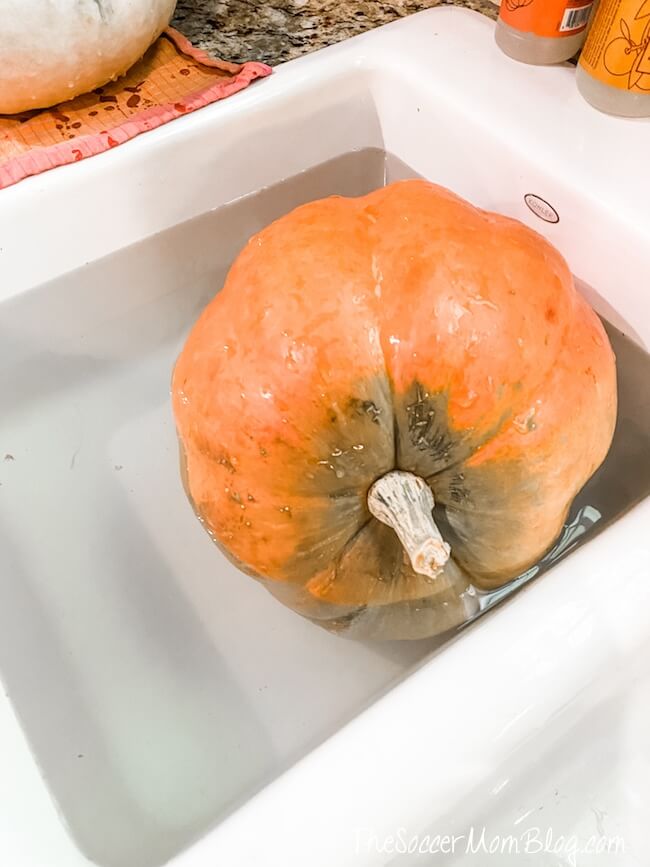 soaking pumpkin in vinegar bath