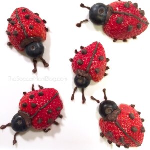 ladybugs made from fruit