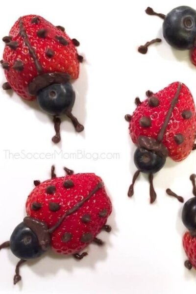 cropped-Strawberry-Chocolate-Fruit-Ladybugs-S.jpg