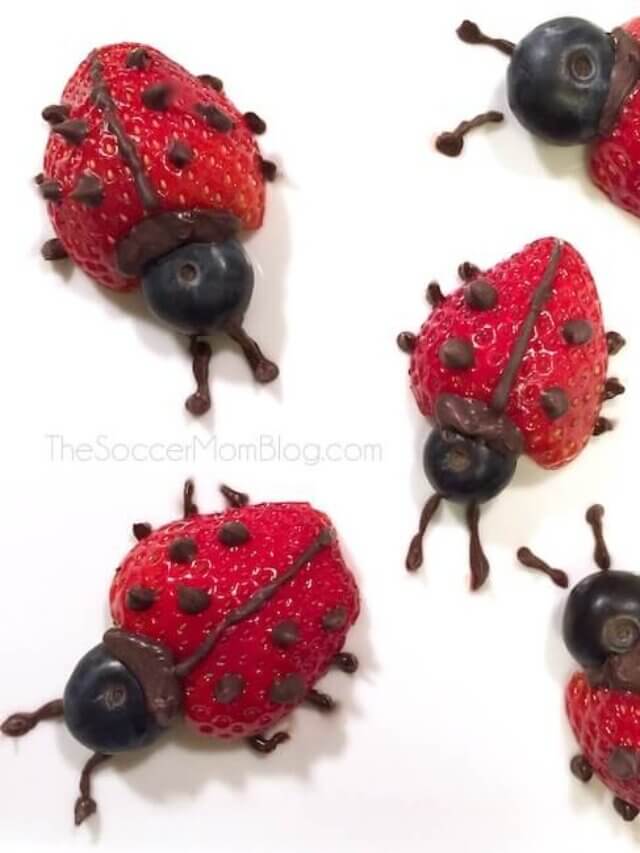 Strawberry Ladybugs Story