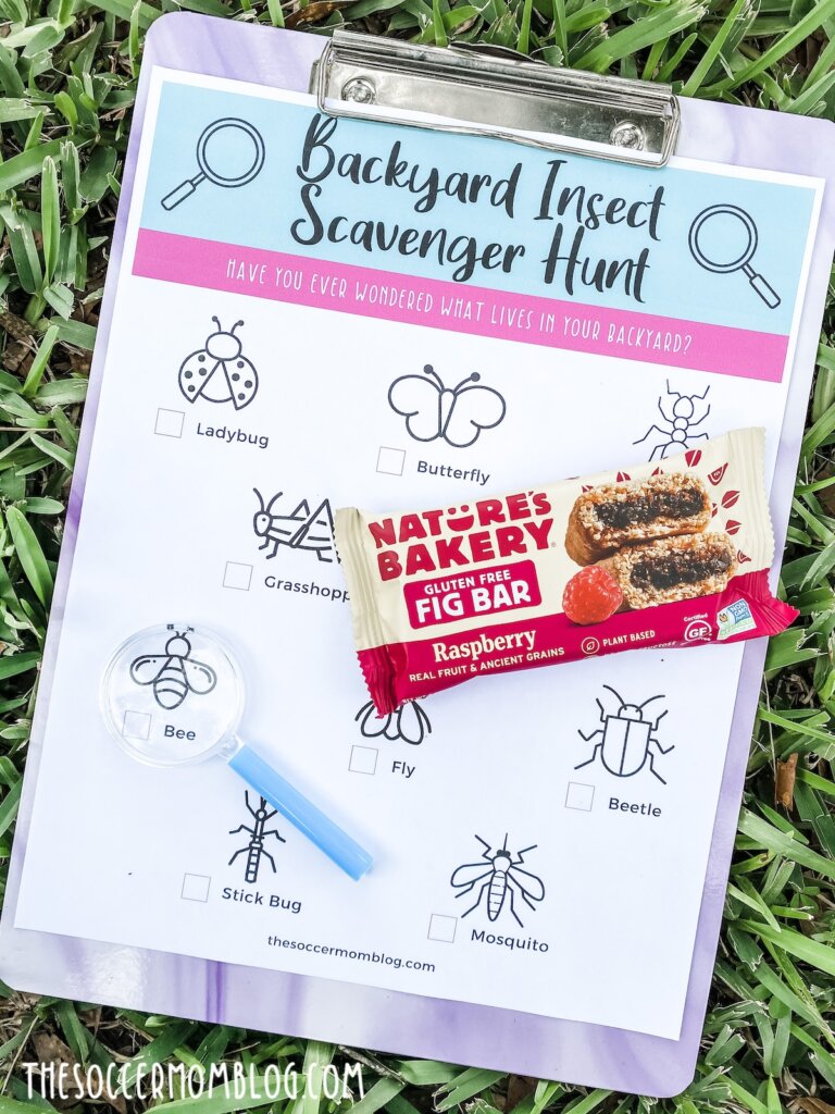 printable insect scavenger hunt