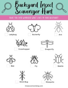 printable insect scavenger hunt for kids