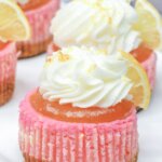 mini pink lemonade cheesecakes with whipped cream