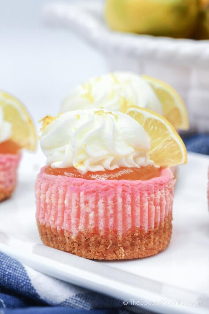 pink lemonade flavored mini cheesecake