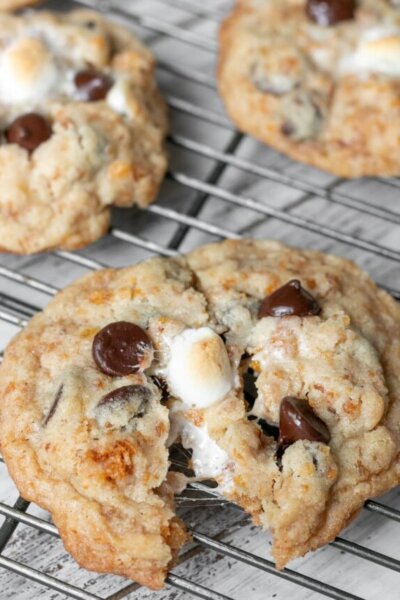 cropped-Cornflake-Chocolate-Chip-Marshmallow-Cookies-2.jpg