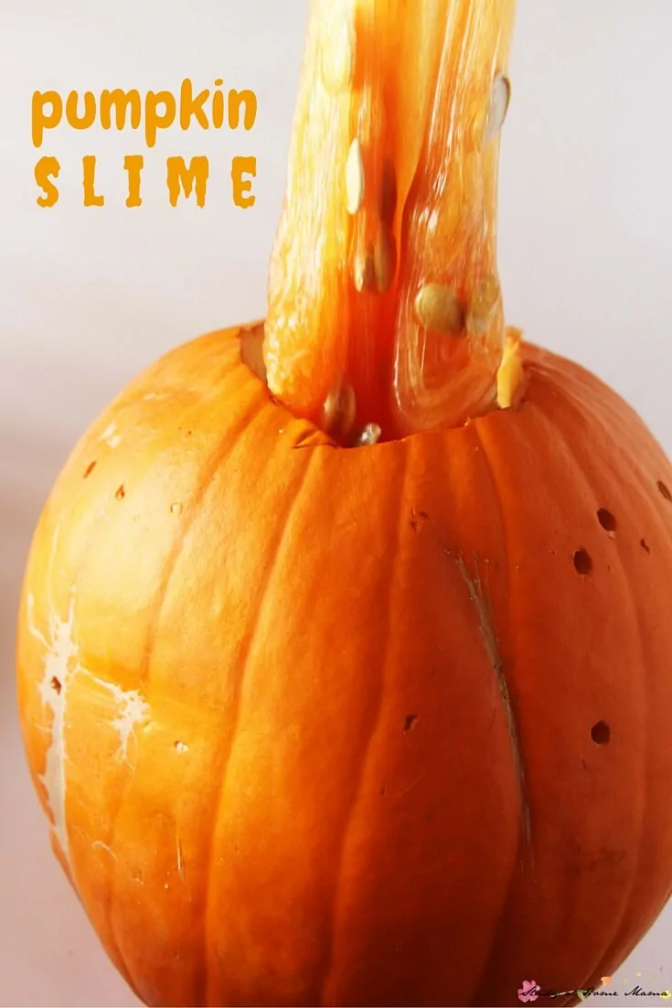 stretchy pumpkin seed slime