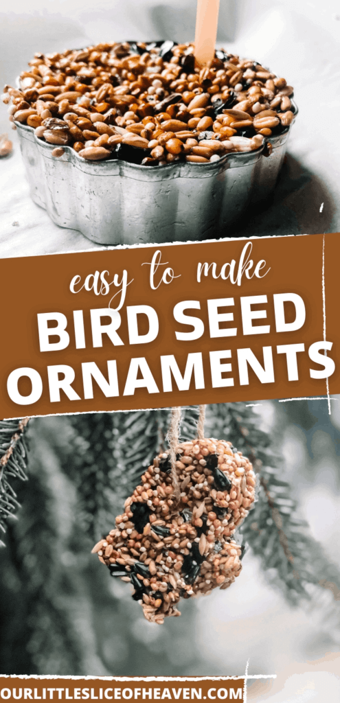 bird seed ornaments to hang on outdoor trees