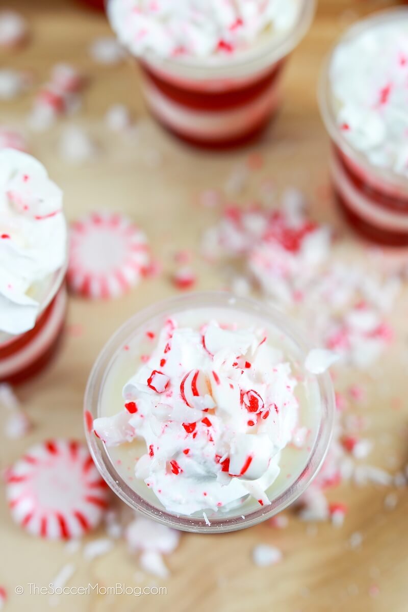 top down view of peppermint jello shots topped with whipped cream