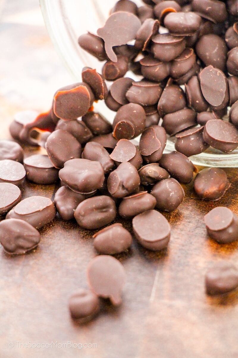 Chocolate Covered Espresso Beans Close Up