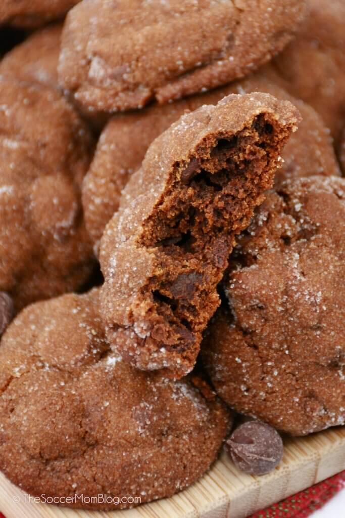chocolate gingerbread cookies, one with a bite taken
