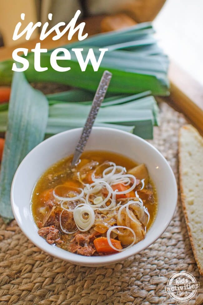bowl of Irish stew with onions
