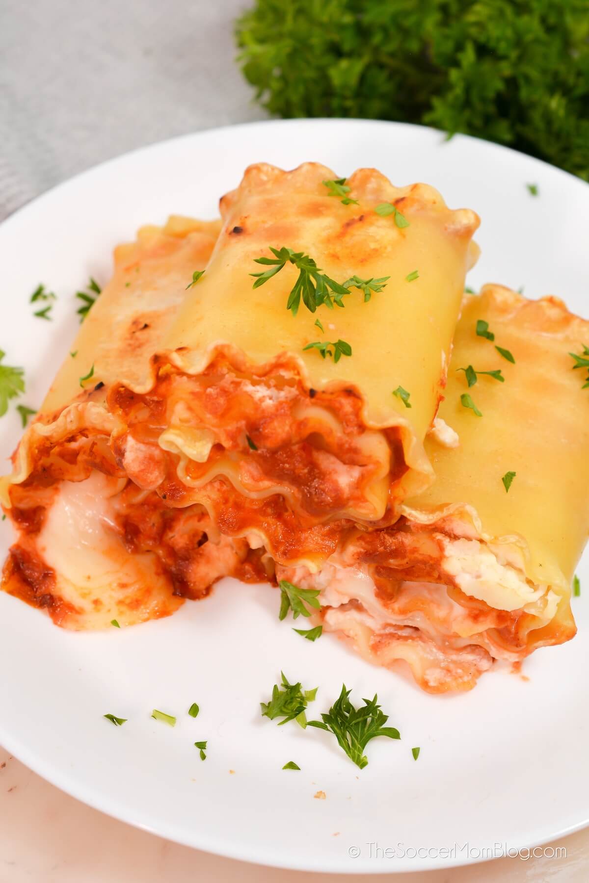 plate of homemade rolled lasagna