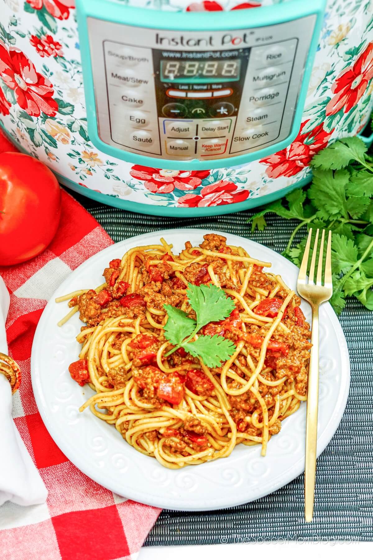 plate of Tex Mex spaghetti with Instant Pot in background