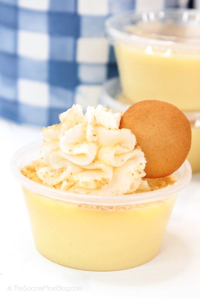 banana pudding jello shot with whipped cream and cookies