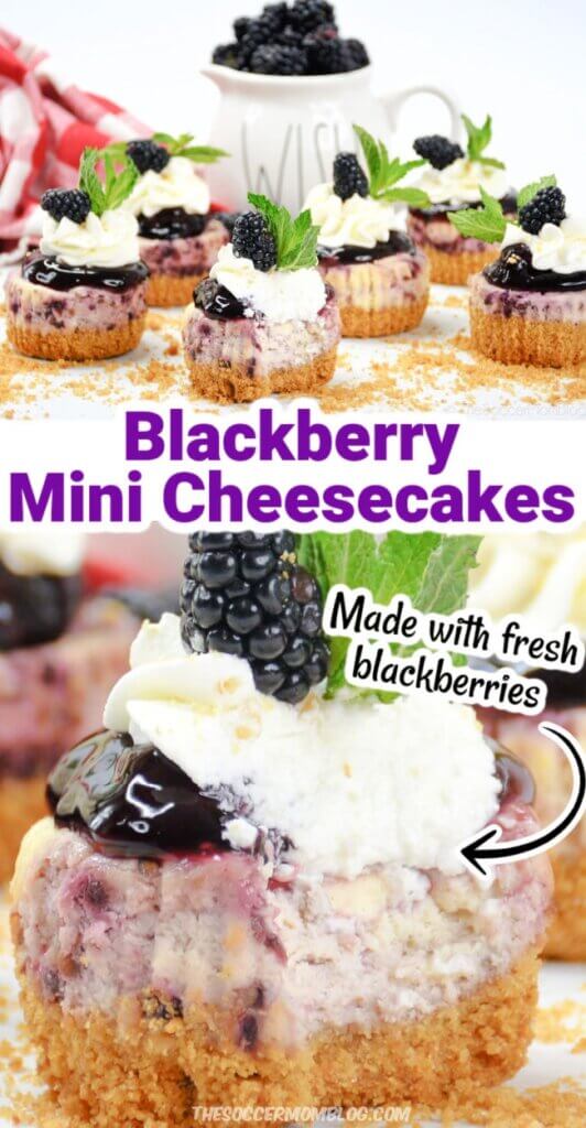2 photo collage of mini blackberry cheesecakes