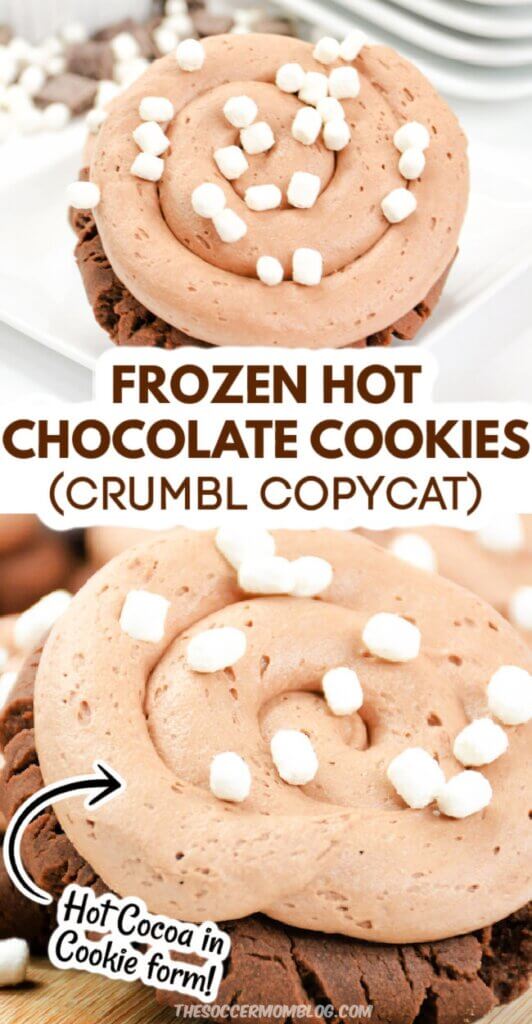 2 photo collage of iced chocolate cookies; text overlay "Frozen Hot Chocolate Cookies"
