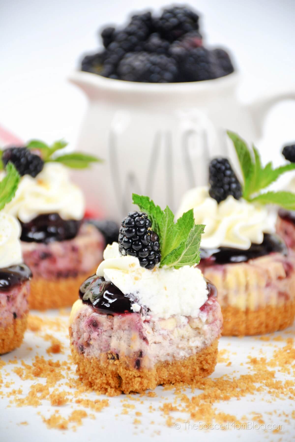 miniature blackberry cheesecakes with fresh blackberries