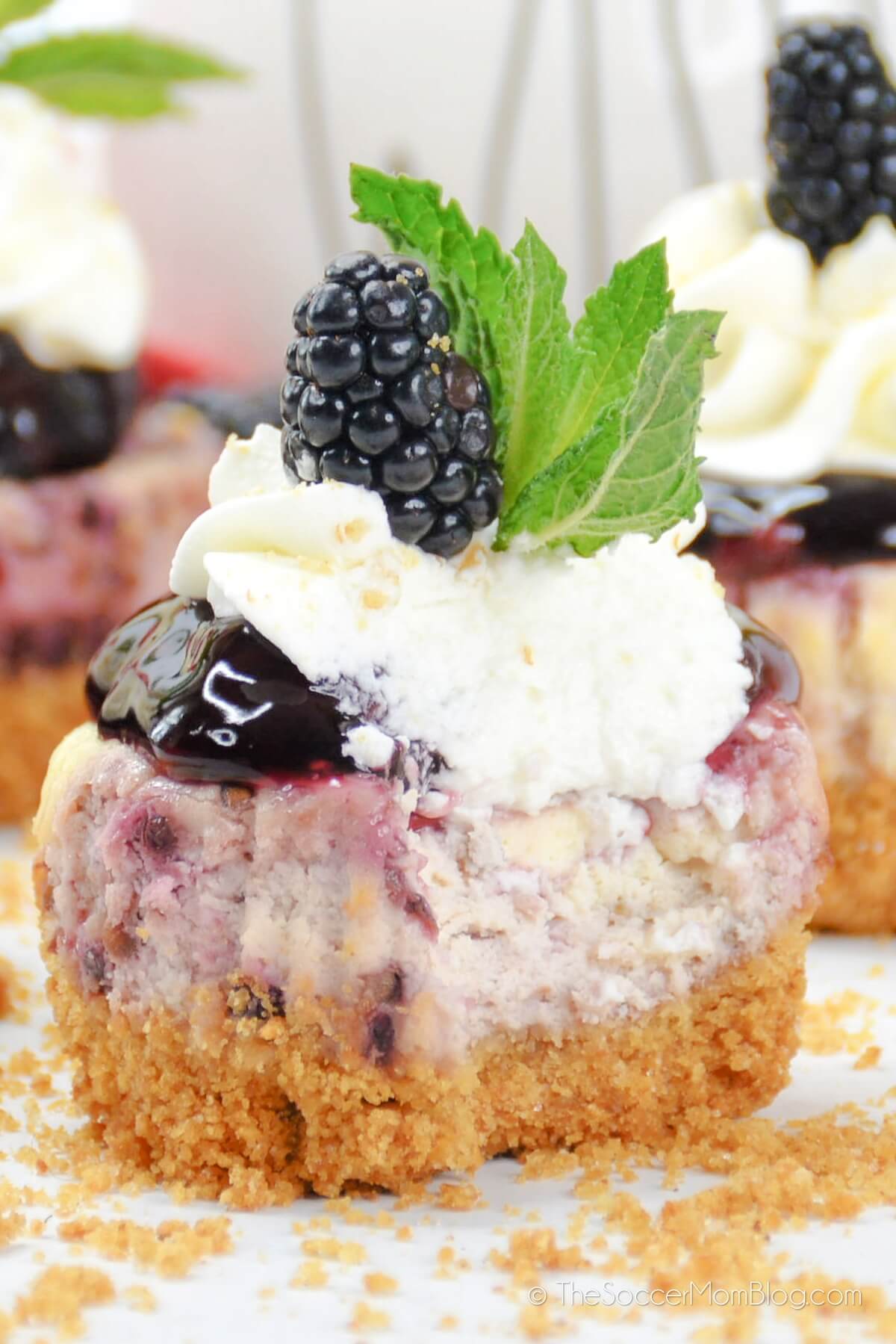 close up of a mini blackberry cheesecake with bite missing