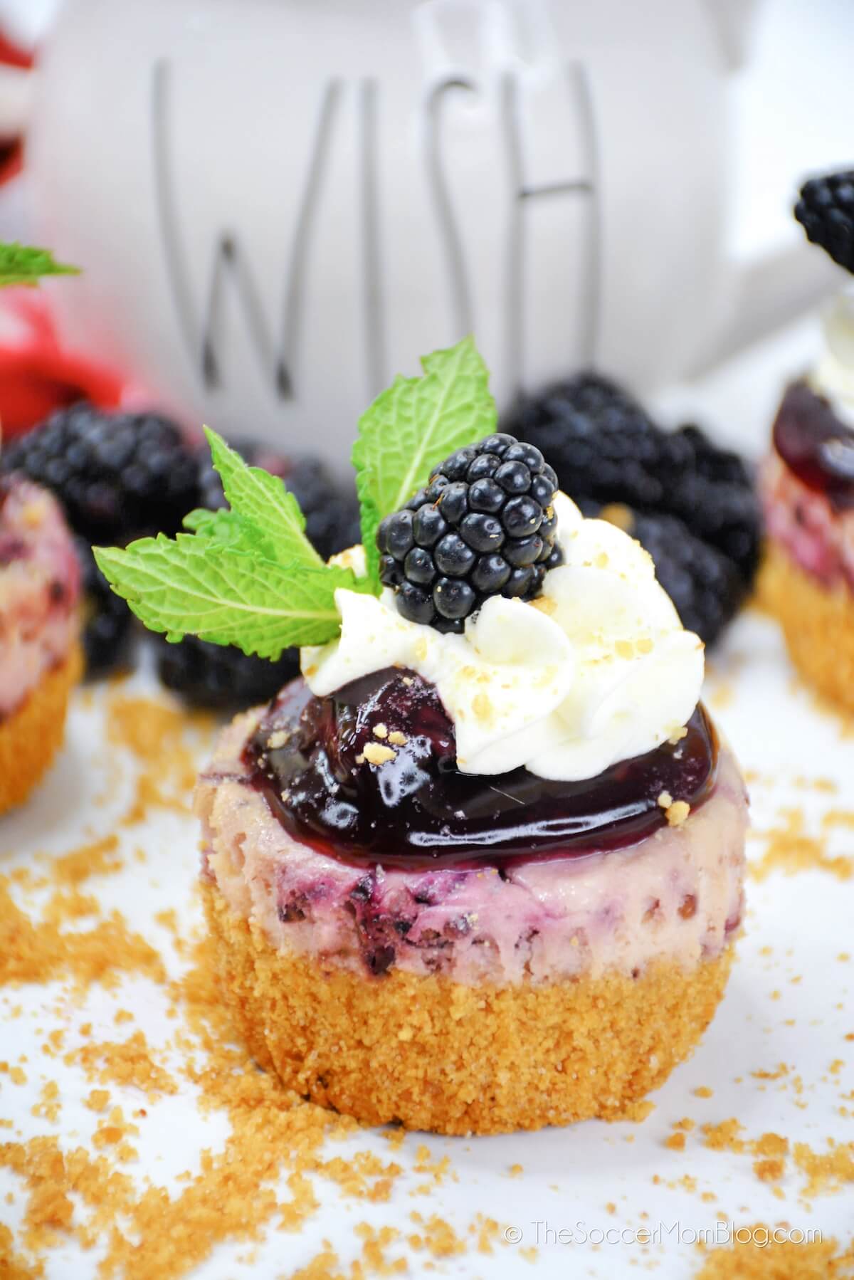 mini blackberry cheesecake topped with pie filling and whipped cream