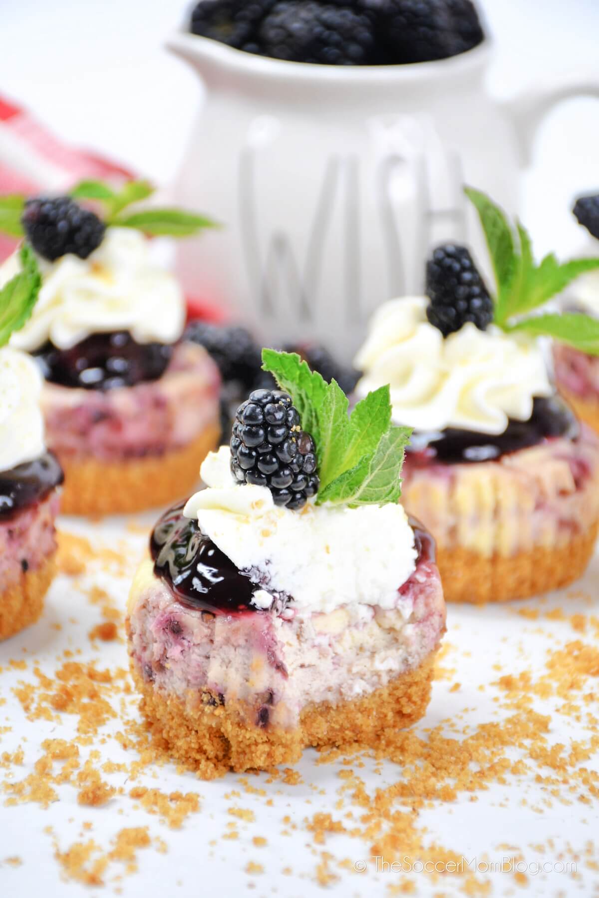 homemade blackberry mini cheesecakes