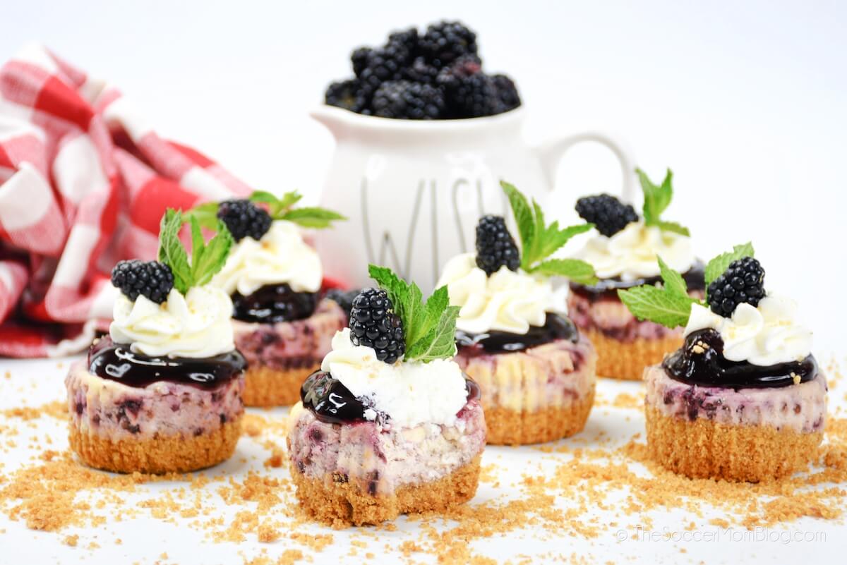 batch of mini blackberry cheesecakes and fresh blackberries