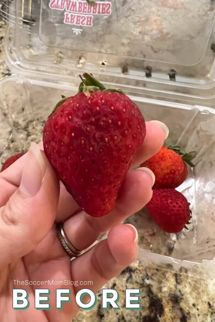 holding mushy strawberry