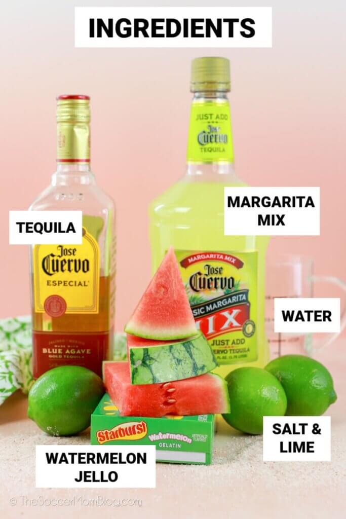 ingredients needed to make watermelon flavored margarita jello shots