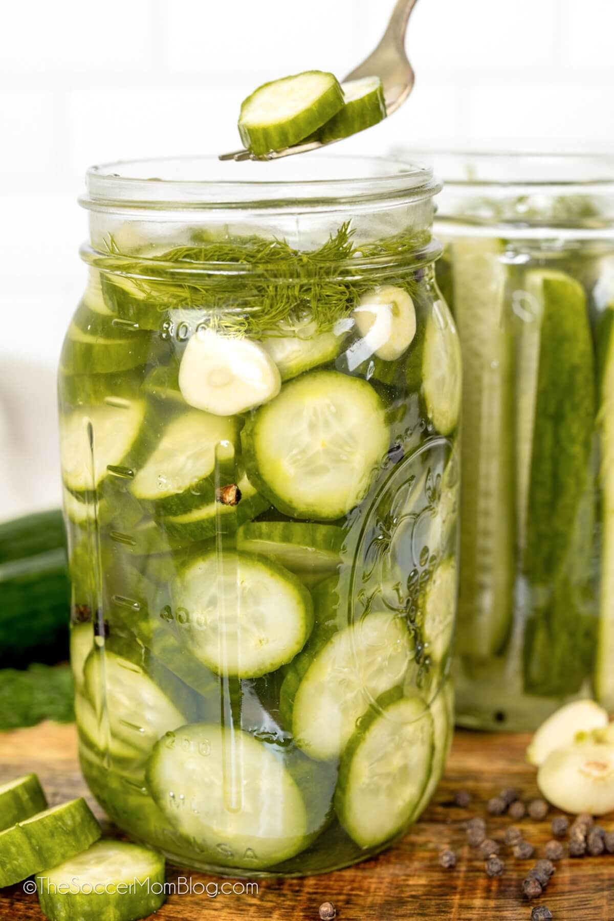 jar of homemade dill pickle chips, with a couple pickles on a fork