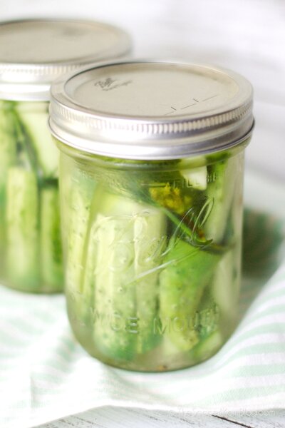 two pint jars of homemade dill pickles