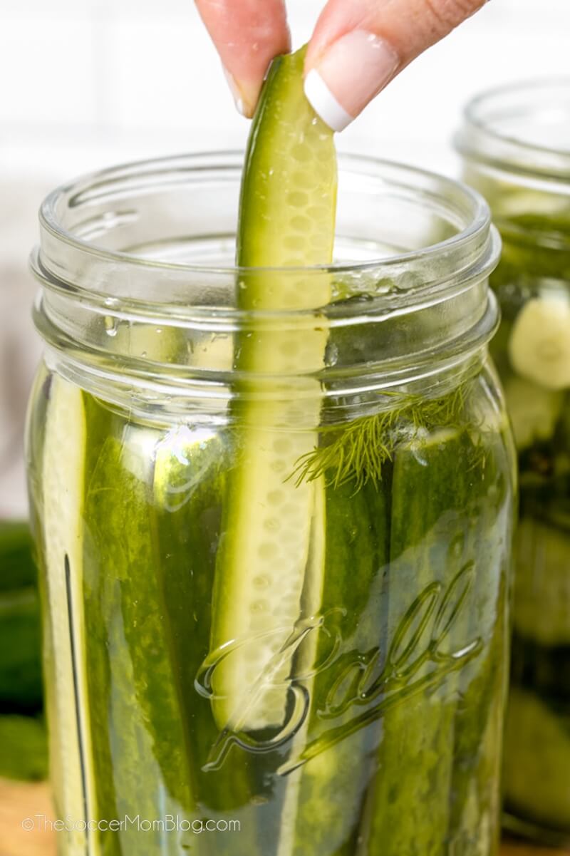 close up of a dill pickle spear being removed from a jar