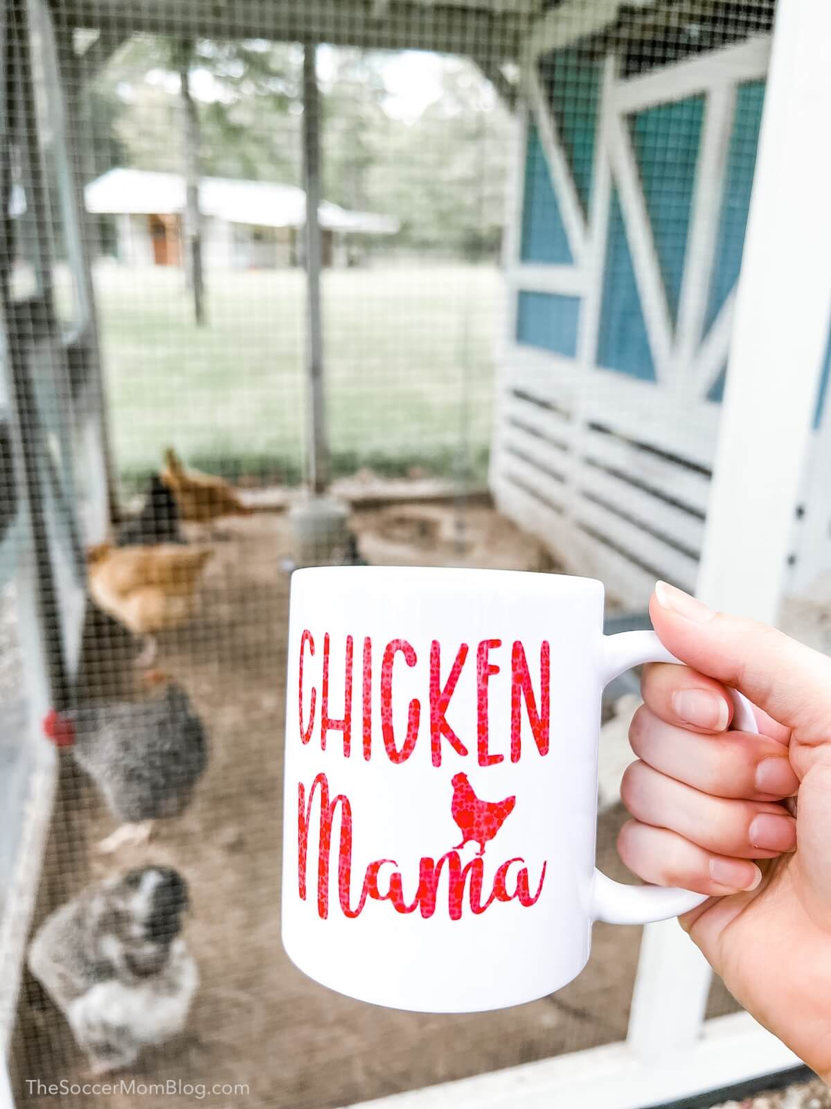 holding up "chicken mama" mug in front of chicken coop