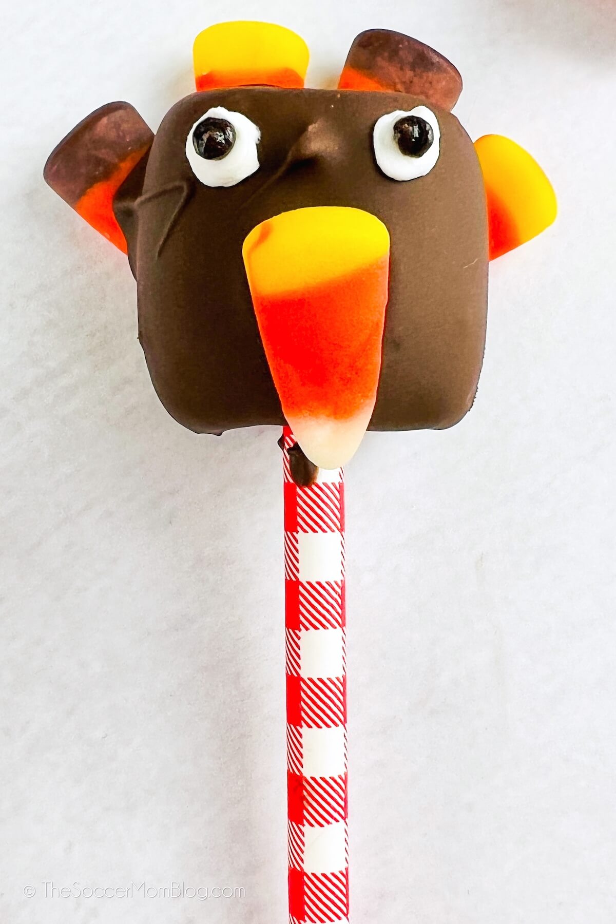 marshmallow pop decorated to look like a Thanksgiving turkey
