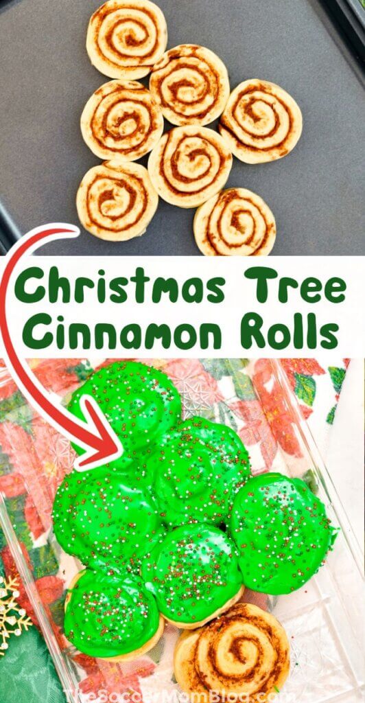 2 photo vertical collage showing how to make a Christmas tree with cinnamon rolls
