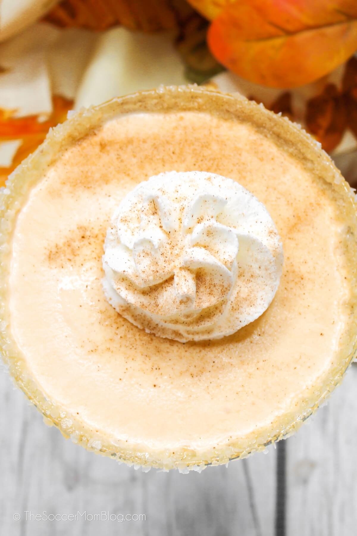 top down view of a pumpkin martini with whipped cream