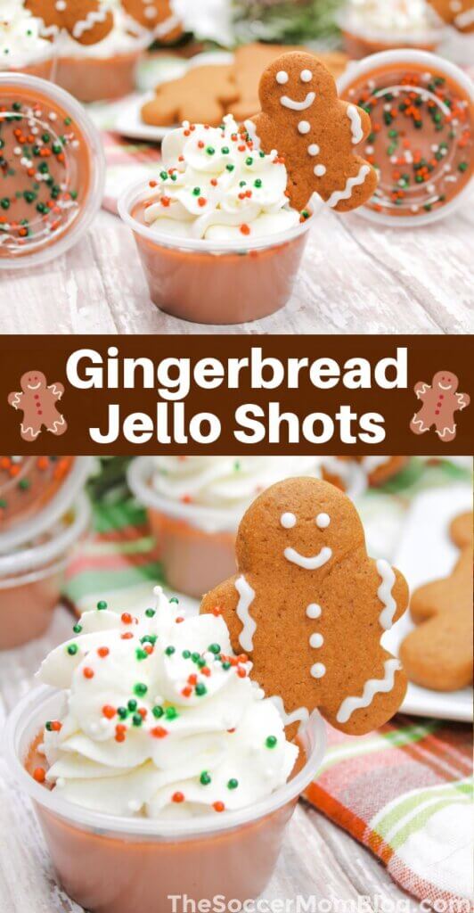 2 photo vertical collage of gingerbread jello shots