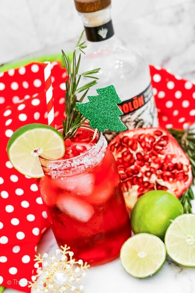 Pomegranate Margarita with ingredients