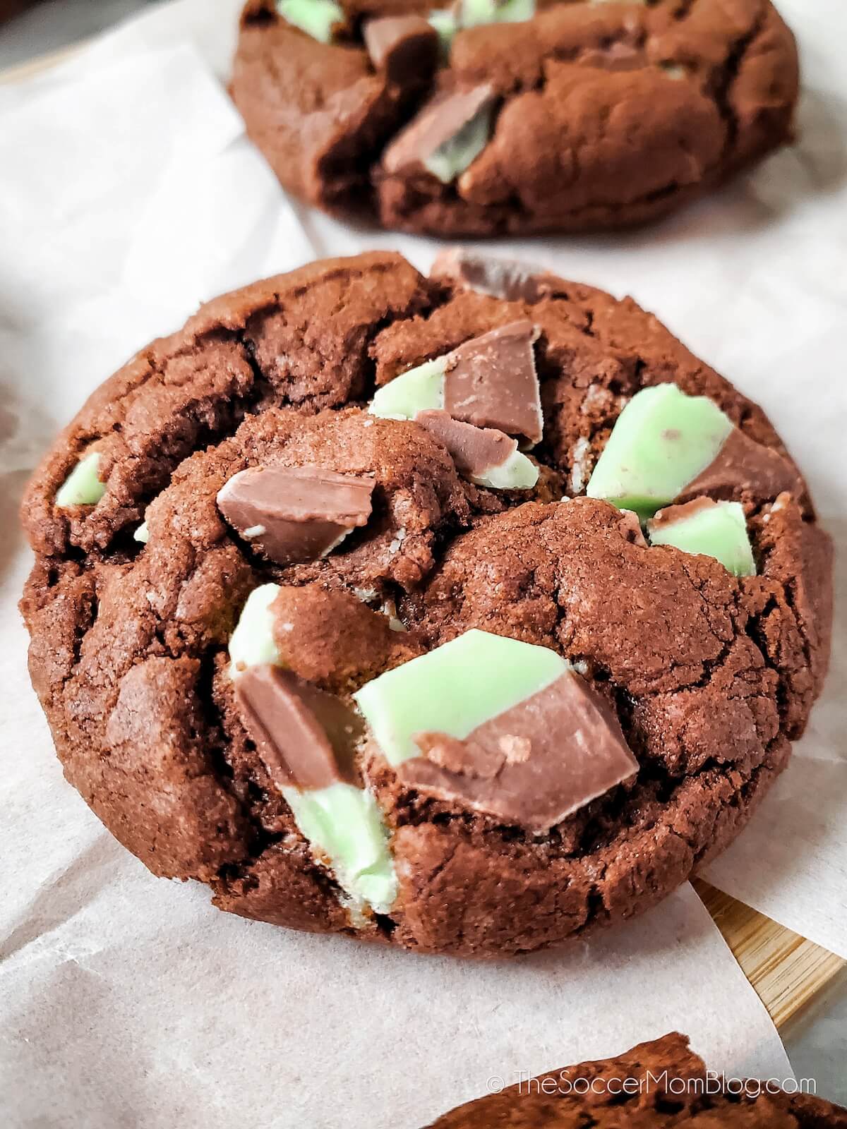 Close Up of a Chocolate Cookie with mint chips
