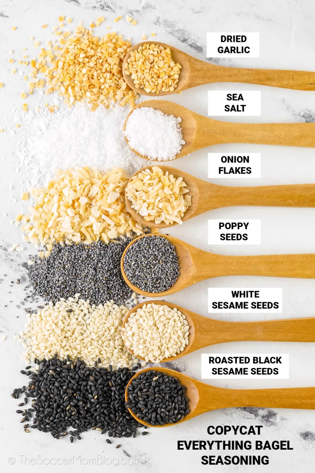 ingredients to make Everything Bagel Seasoning - individual spices on spoons - with text labels