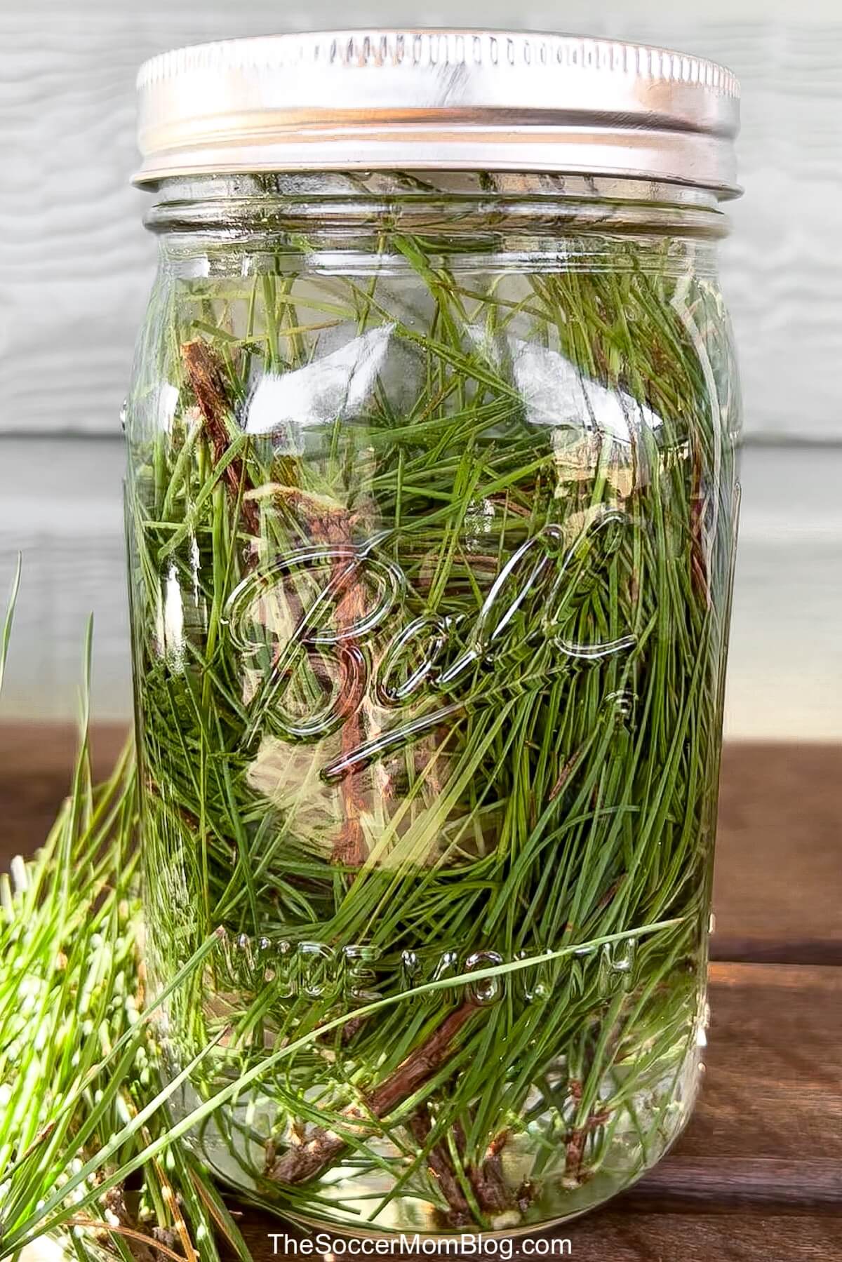 mason jar filled with pine needles and vinegar