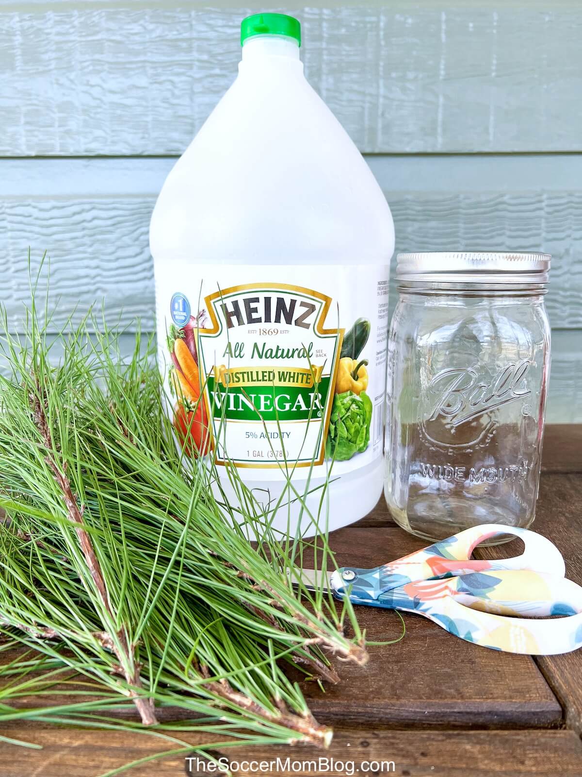 supplies needed to make homemade pine needle cleaner