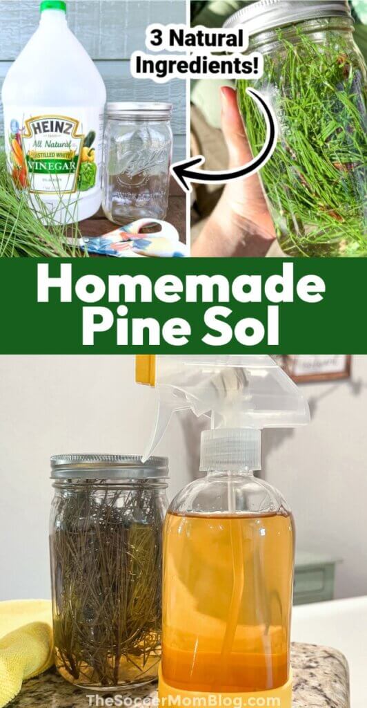 vertical Pinterest image showing a homemade pine needle cleaner