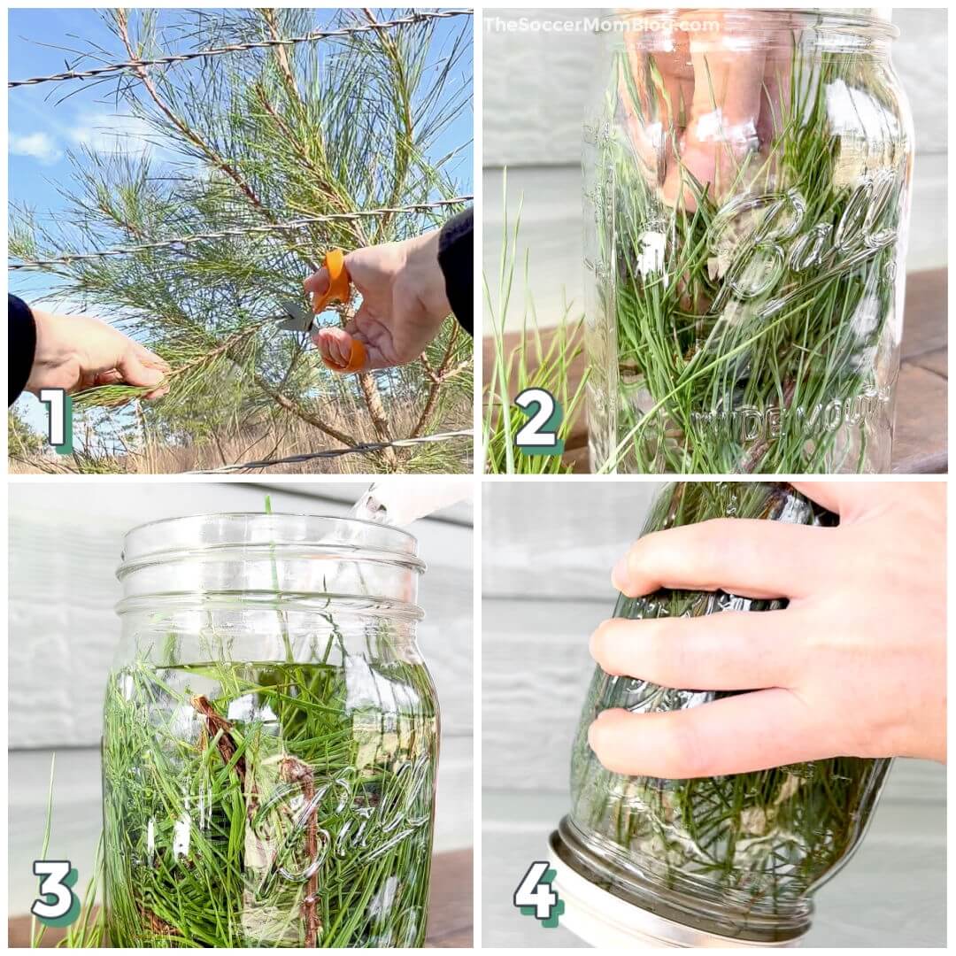 4 step photo collage showing how to make homemade pine sol