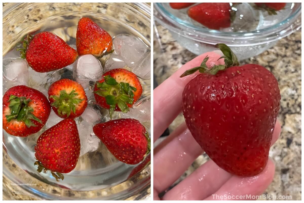 before and after soaking strawberries in ice water